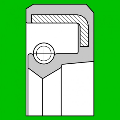 Radial shaft oil seal