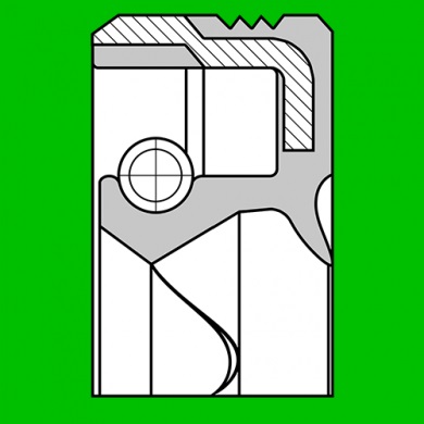 Radial shaft oil seal