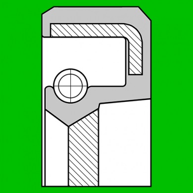 Radial shaft oil seal