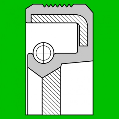 Radial shaft oil seal