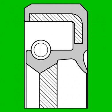 Radial shaft oil seal