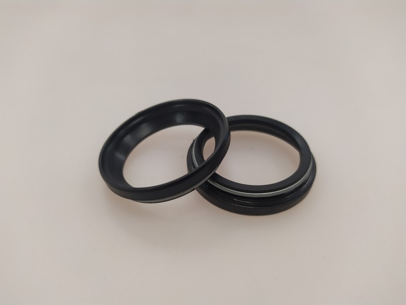 Radial shaft oil seal